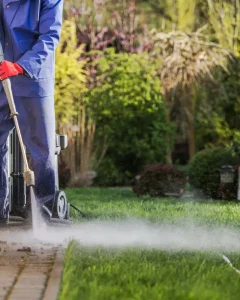 Crystal Cove Home Services photo 6