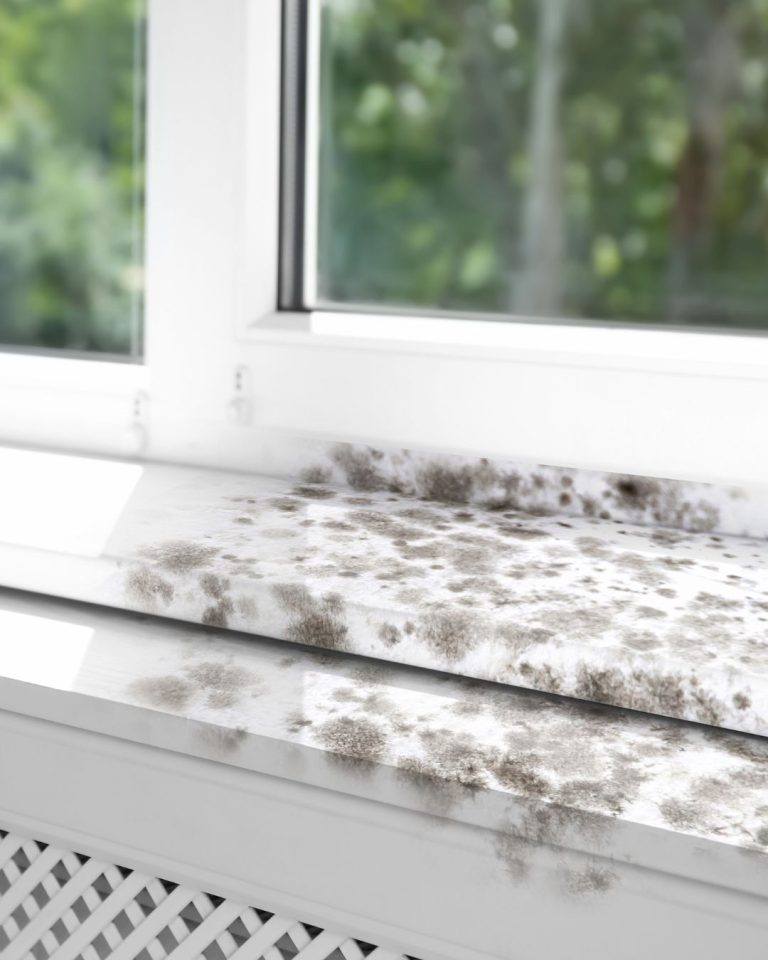 Climate Affects Your Windows