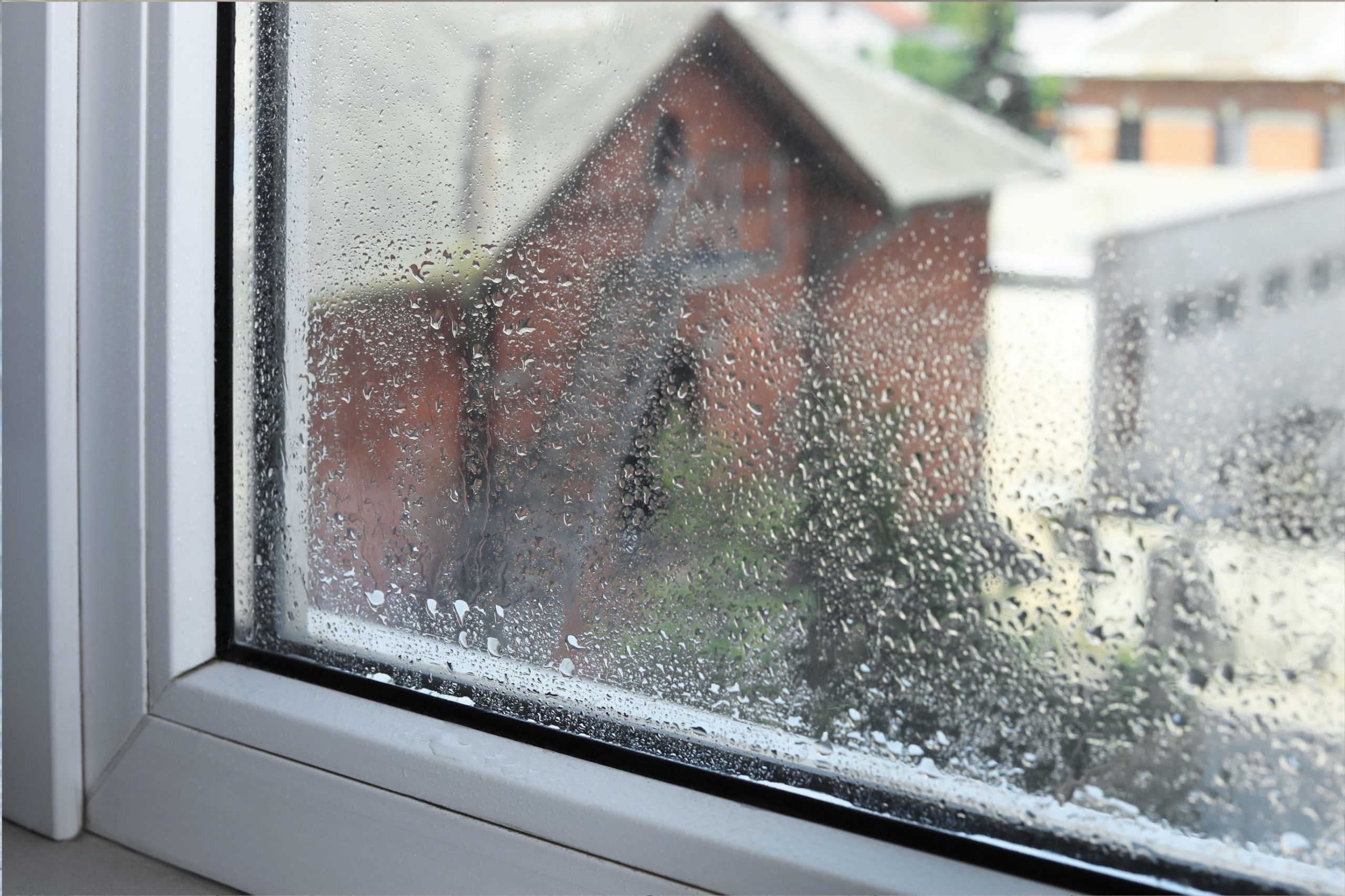 Rain Windows